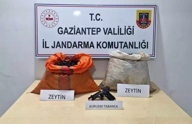 Zeytin Hırsızı Yakalandı